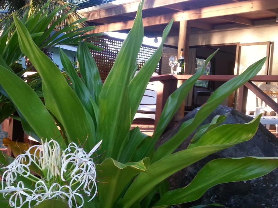 Sunset Palms Rarotonga Hotel Buitenkant foto